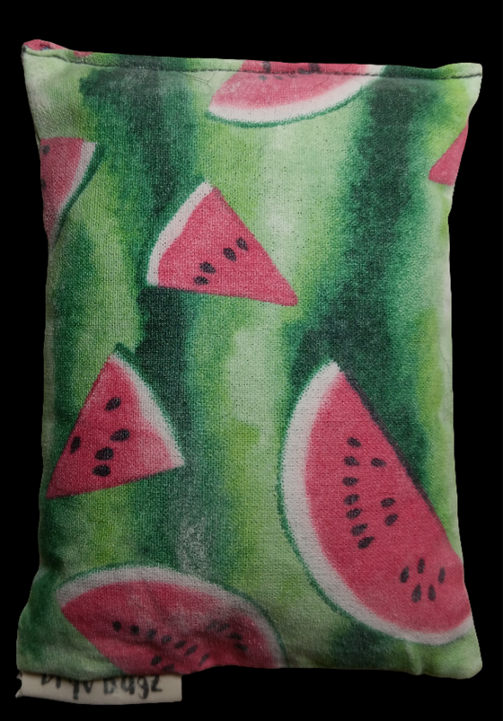 DryV Bag - Watermelon Slices