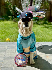  A-DOG-B